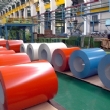 Prepained Galvanized and Aluzinc Steel Coil, Sheet and Strip